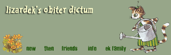 lizardek's obiter dictum
