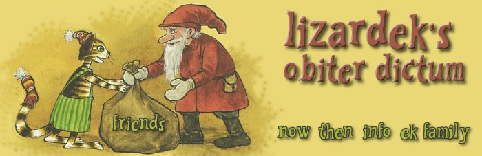 lizardek's obiter dictum
