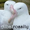 albatrossity